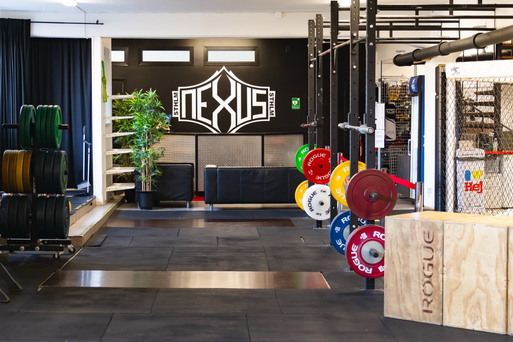Gymgolvet på Nexus Stockholm med rack, viktskivor och MMA-bur i Alvik, Bromma